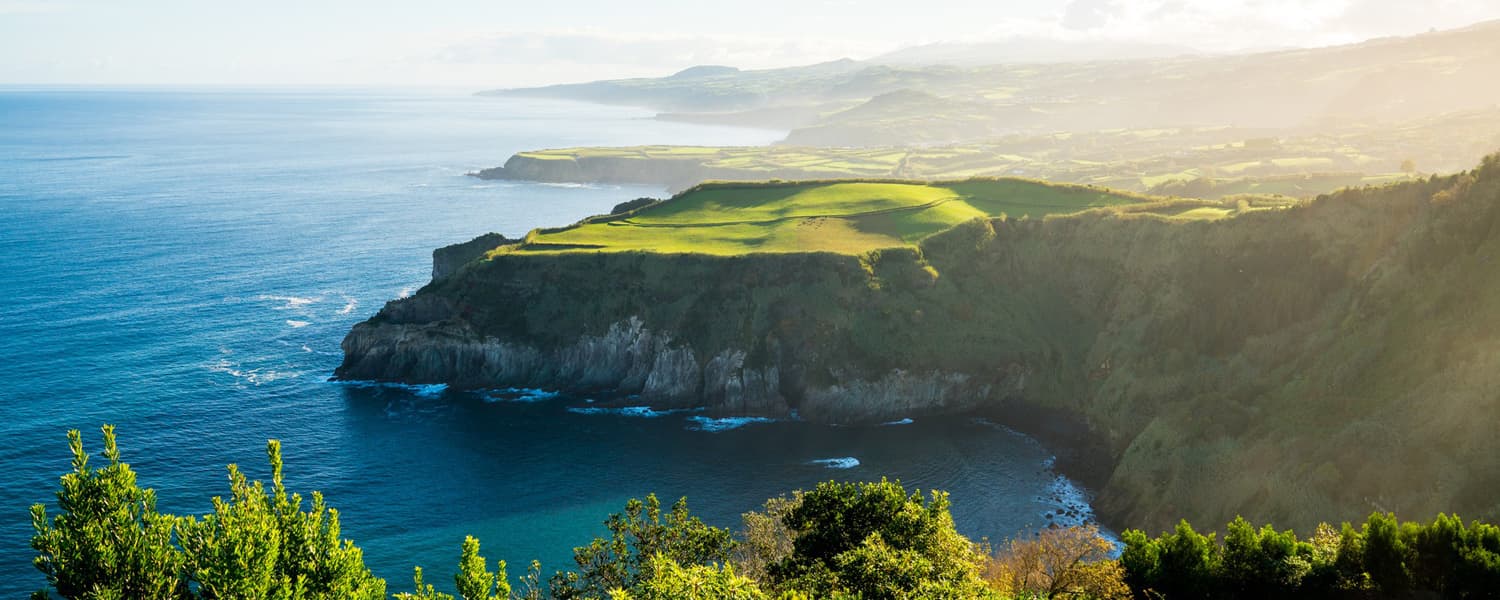 NEWZEALAND
